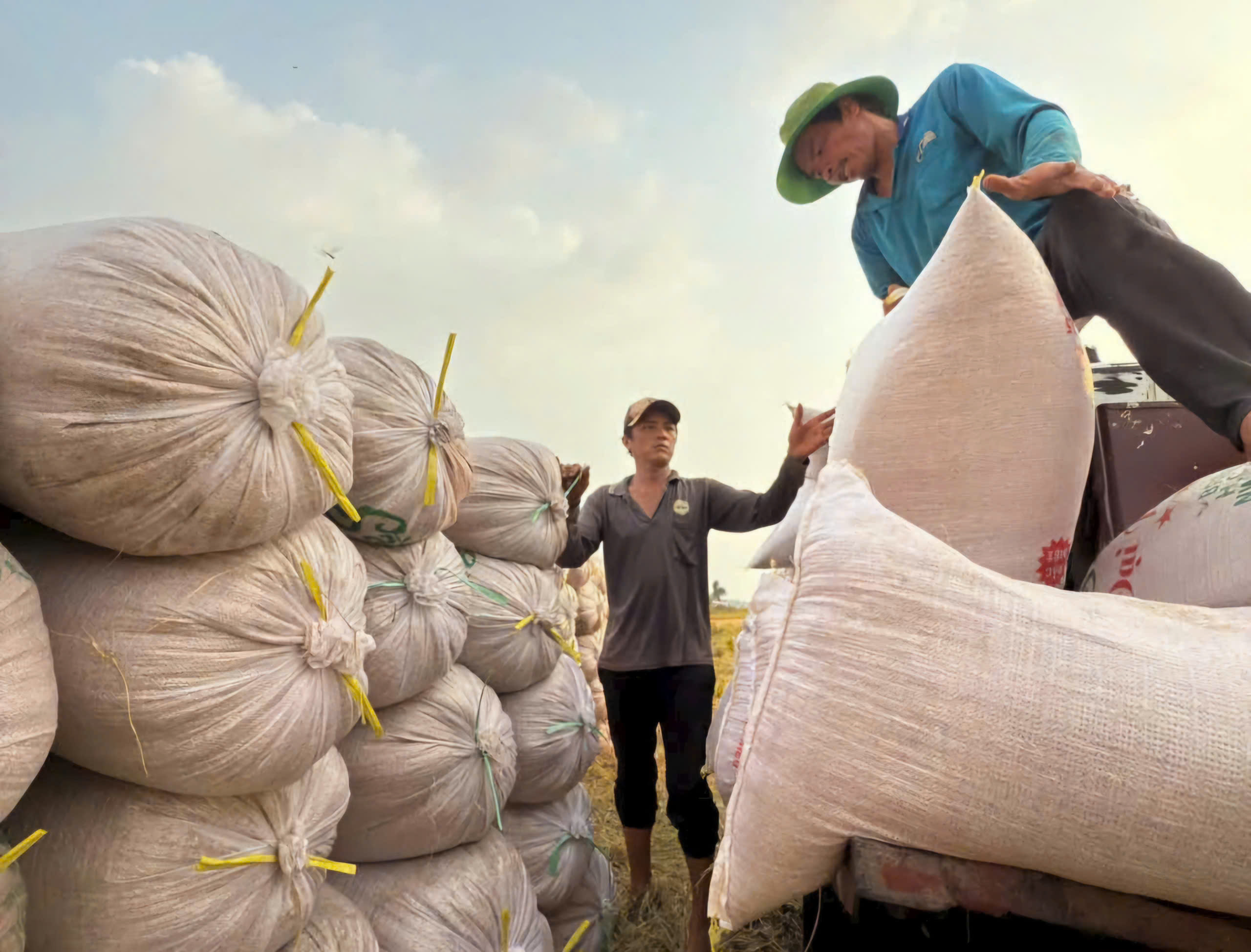 Bán lương thực đi khắp thế giới nhưng hệ thống thực phẩm Việt Nam chỉ xếp hạng 31/60